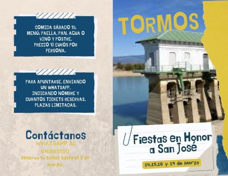 Image Cartel fiestas tormos